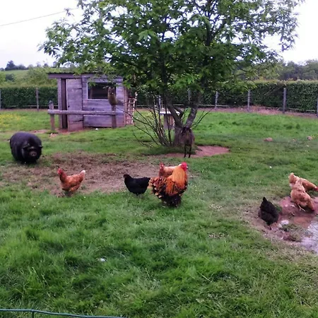 Ferienhaus Maison De Ferme Restauree Avec Animaux Admis, Proche Du Cher - Fr-1-489-270 *