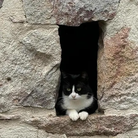 Εξοχικό σπίτι Maison De Ferme Restauree Avec Animaux Admis, Proche Du Cher - Fr-1-489-270 Vallon-en-Sully